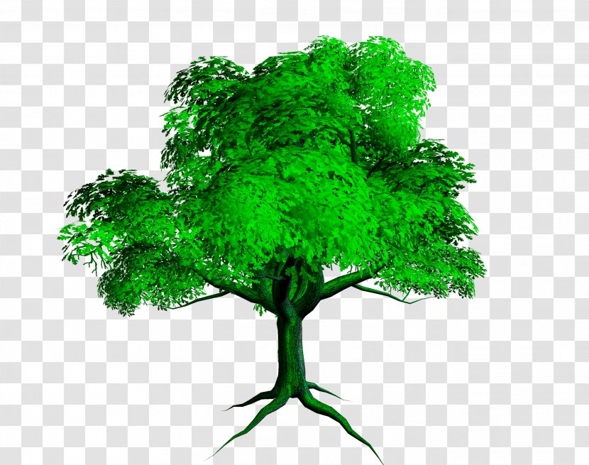 Desktop Wallpaper Download Clip Art - Tree Transparent PNG