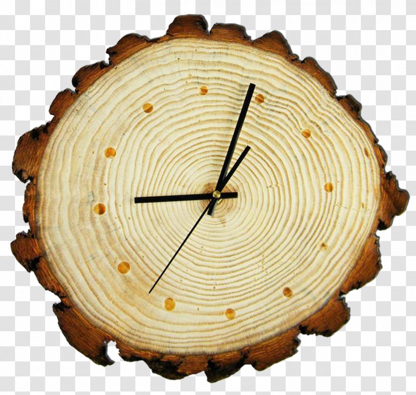 Aastarxf5ngad Wood Tree Stump - Clock - Ring Transparent PNG