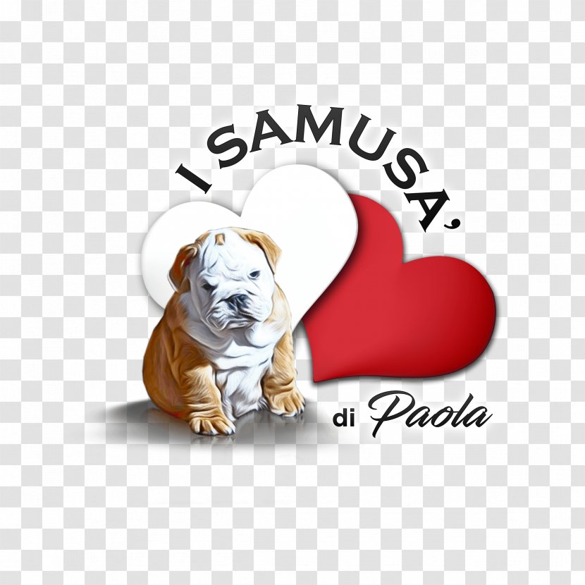 Bulldog Puppy Dog Breed I SAMUSA' DI PAOLA Border Collie - Nonsporting Group Transparent PNG