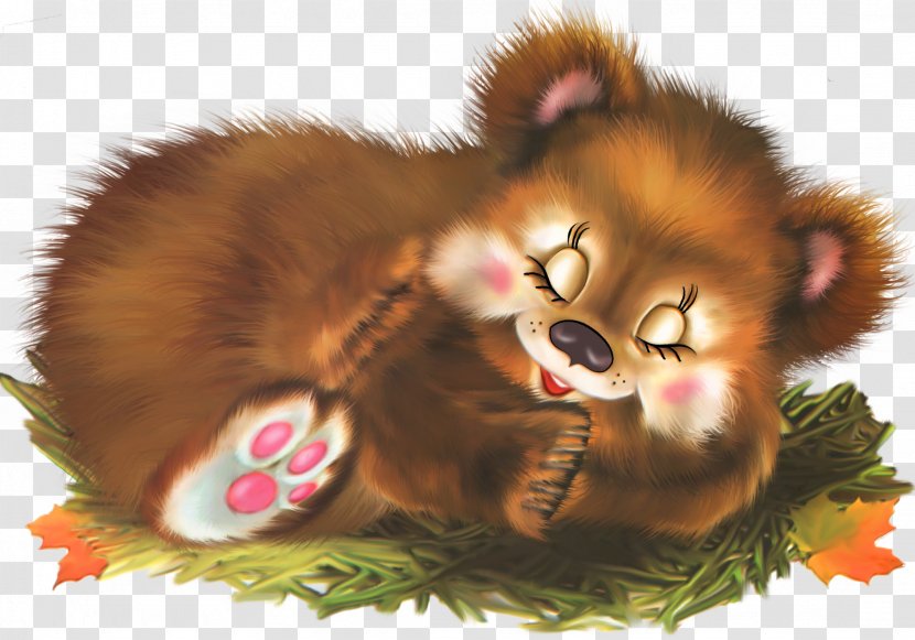 Bear - Eu - Wildlife Transparent PNG