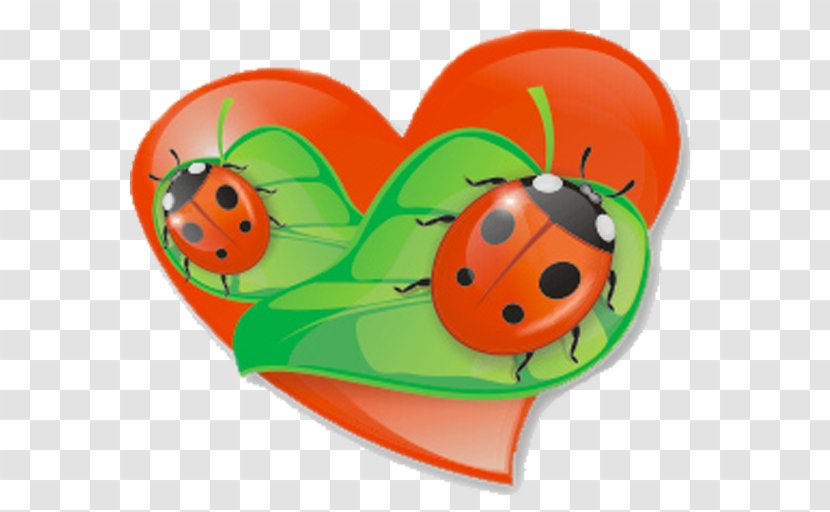 Ladybird Insect Blog Clip Art - Food - Ladybug Transparent PNG