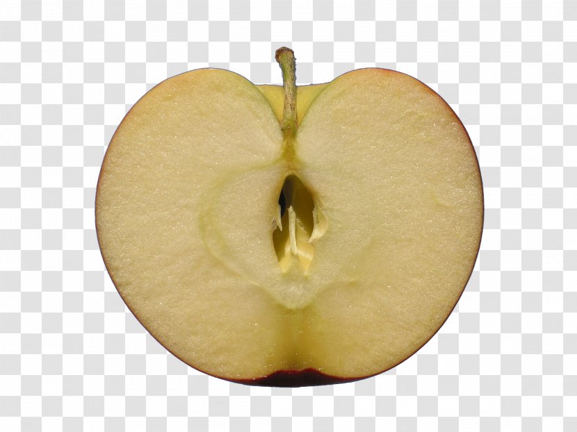 Apple Download Icon - Bank Bri - Half Cut Transparent PNG