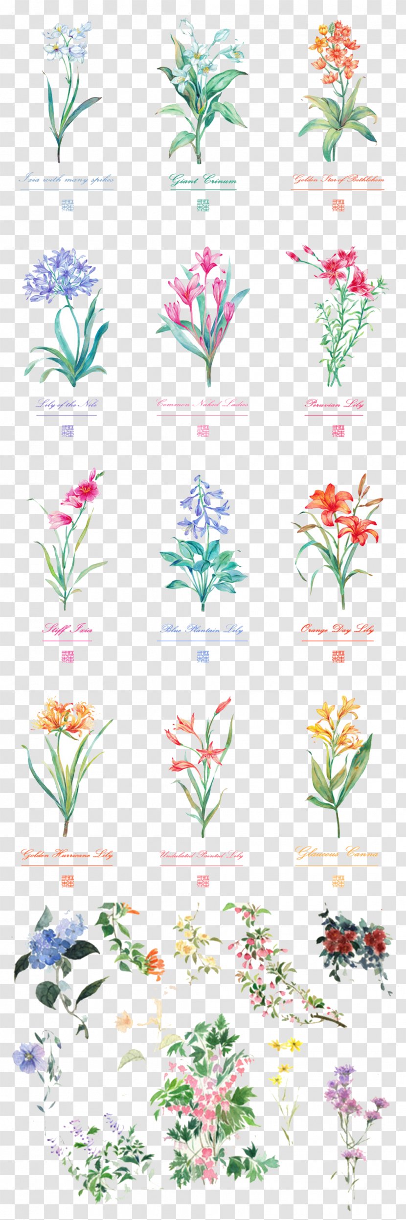 Floral Design Flower Bouquet Watercolor Painting - Creative Arts - Hand-painted Flowers Transparent PNG