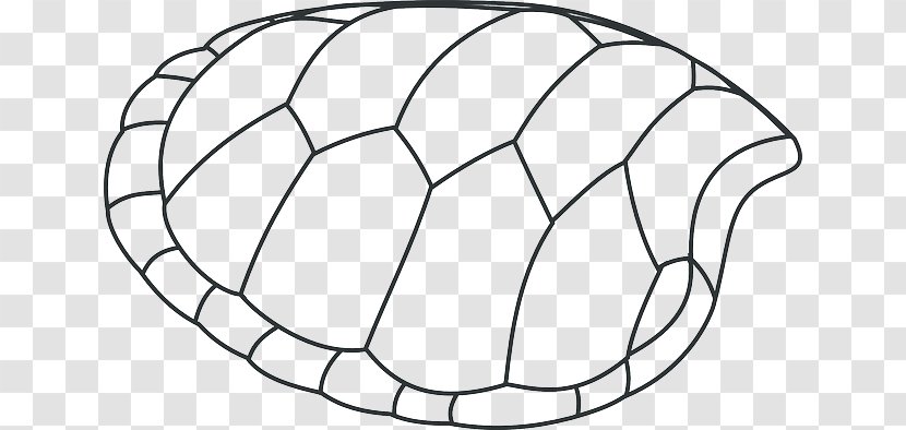 Turtle Shell Drawing Clip Art - Tree - Green Shells Transparent PNG