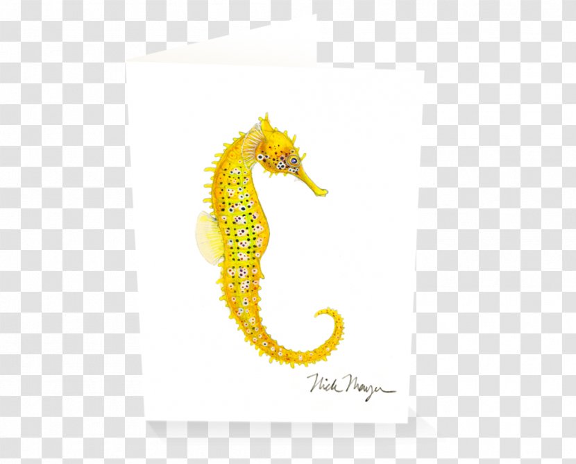 Pacific Seahorse Big-belly Yellow Leafy Seadragon Syngnathidae - Sand Dollar - Watercolor Transparent PNG