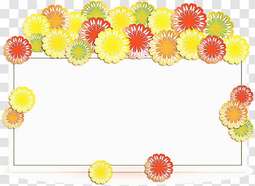 Flowers Background - Transvaal Daisy - Sunflower Flower Transparent PNG