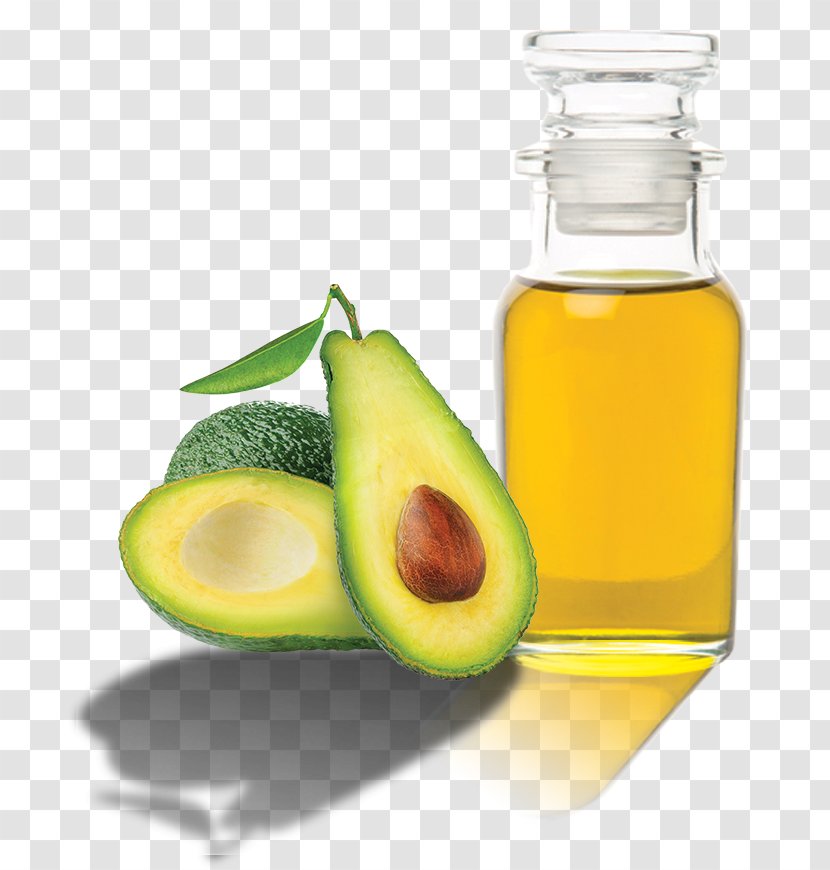 Avocado Stock Photography Food Nutrition - Slice Transparent PNG