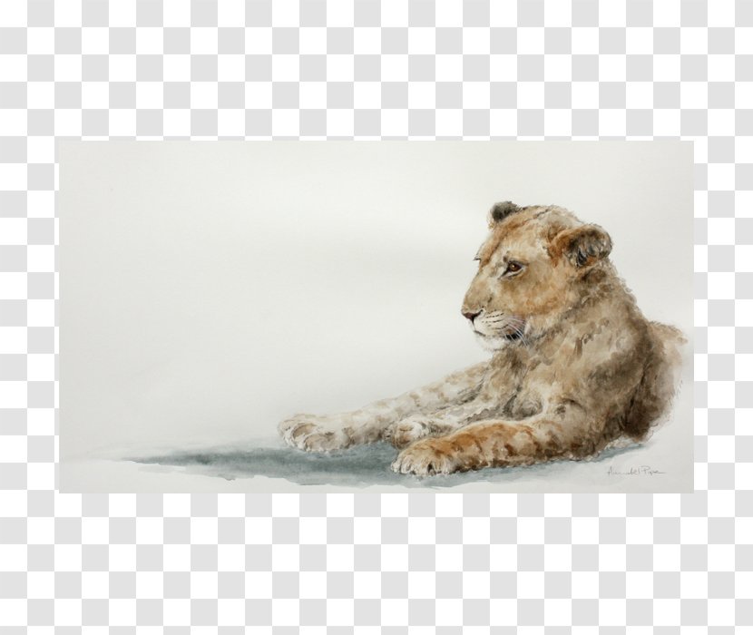 Lion Cat Mammal Leopard Tiger - Fur - Dance Transparent PNG