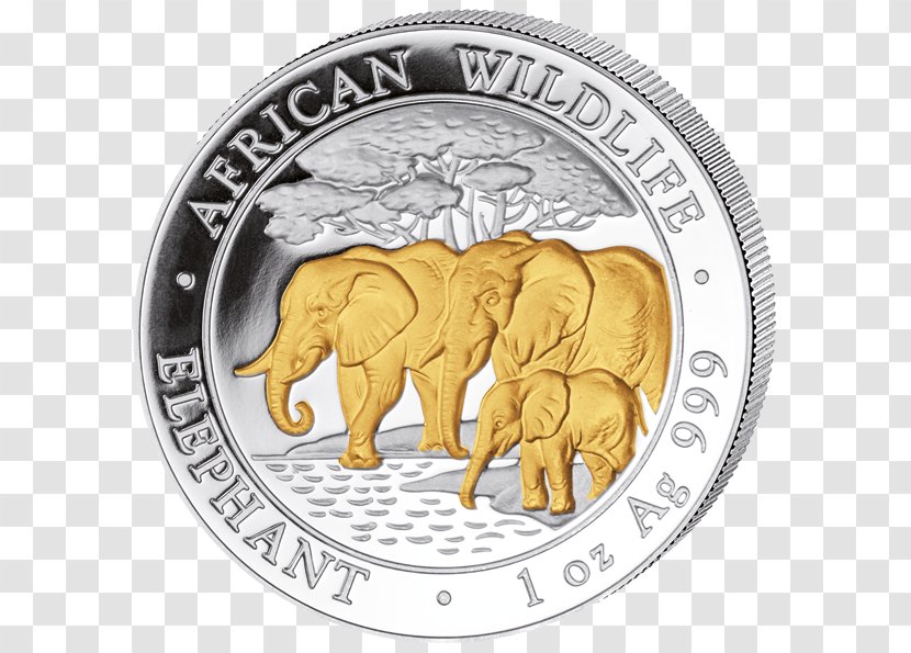 African Elephant Coin Indian Gold Elephants Transparent PNG