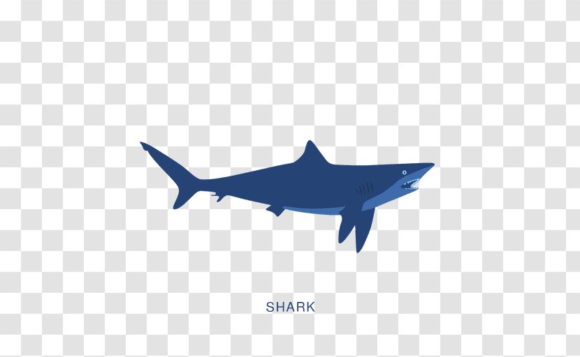 Fish Poster - Marine Biology - Sharks Transparent PNG
