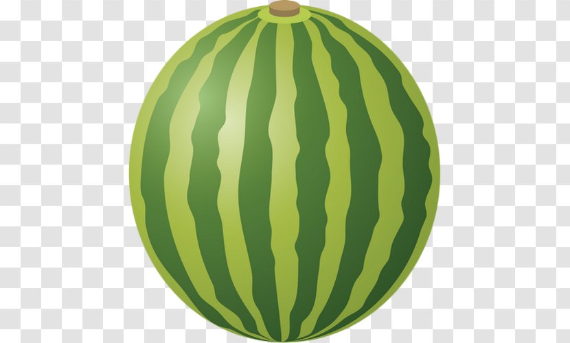 Watermelon Photography - Green Transparent PNG