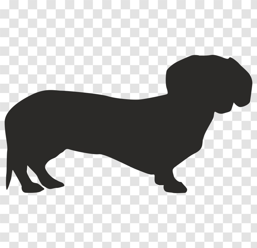 Dachshund Dog Breed Dobermann Pet Florida - Black And White - Animal Transparent PNG