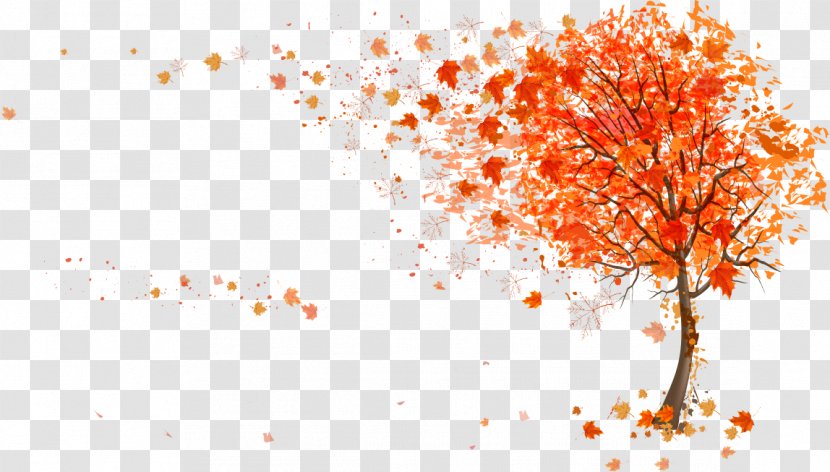 Autumn Leaf Color Tree Illustration - Maple Transparent PNG