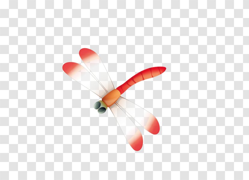 Insect Dragonfly Icon - Copyright Transparent PNG