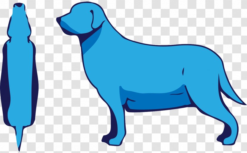 Dog Breed Puppy Shar Pei Clip Art Pet - Body Conditioning Transparent PNG