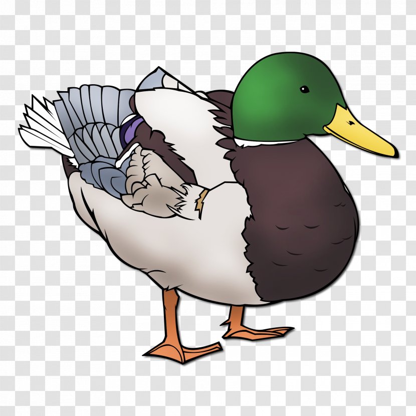 Mallard Duck Goose Clip Art Image - Line Transparent PNG