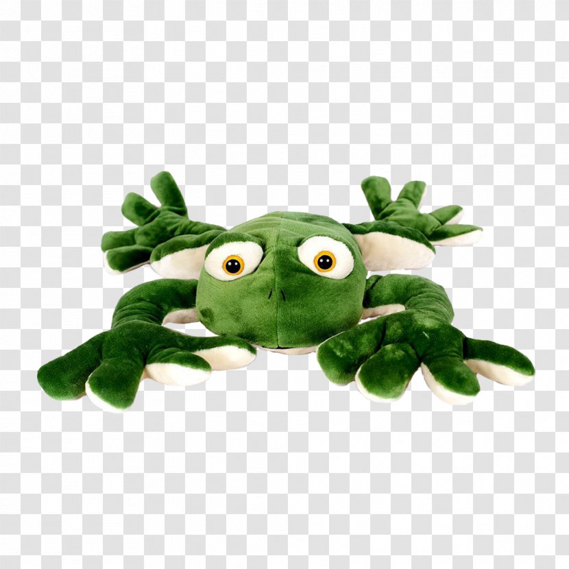 Toad Stuffed Animals & Cuddly Toys True Frog Tree Transparent PNG