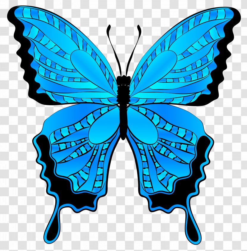 Butterfly Morpho Menelaus Clip Art - Brush Footed - Blue Clipart Image Transparent PNG