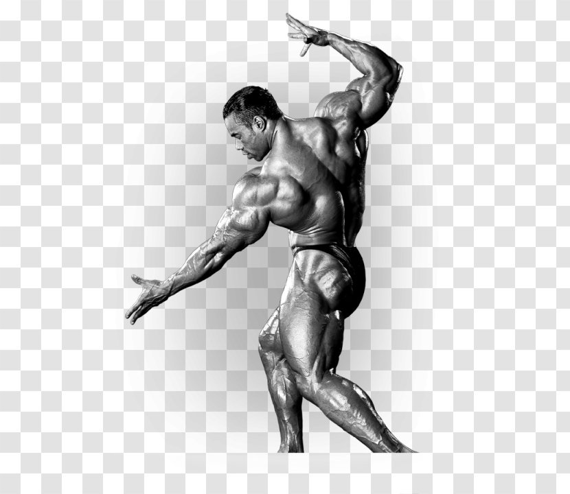 2016 Mr. Olympia 2017 Arnold Sports Festival Dietary Supplement Bodybuilding - Frame - Schwarzenegger Transparent PNG