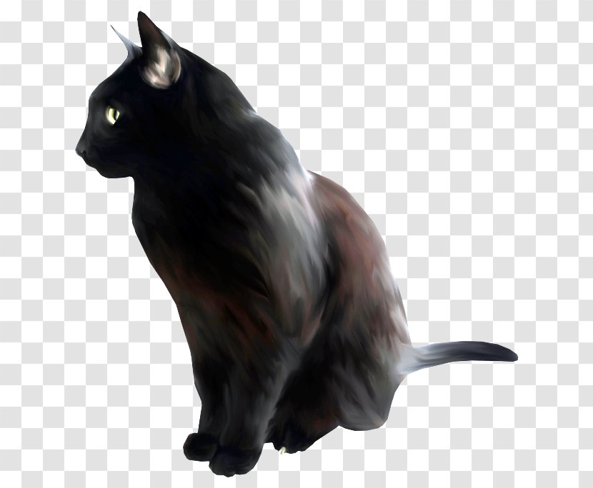 Black Cat Bombay Nebelung Kitten Clip Art - Whiskers Transparent PNG