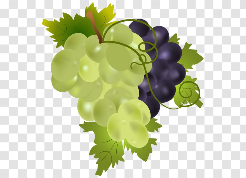 Wine Grape Clip Art Transparent PNG