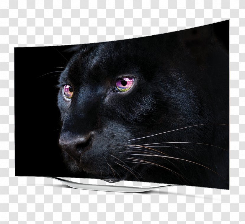 LG EF9500 4K Resolution OLED Ultra-high-definition Television - Set - Lg Transparent PNG