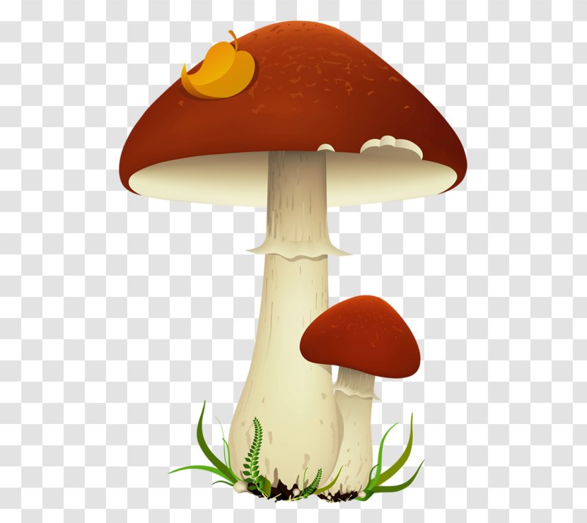 Mushroom Cloud - Agaric - Lamp Bolete Transparent PNG