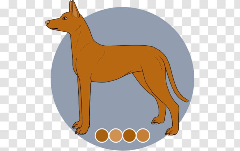 Dog Breed Red Fox Dingo Dhole - Snout Transparent PNG