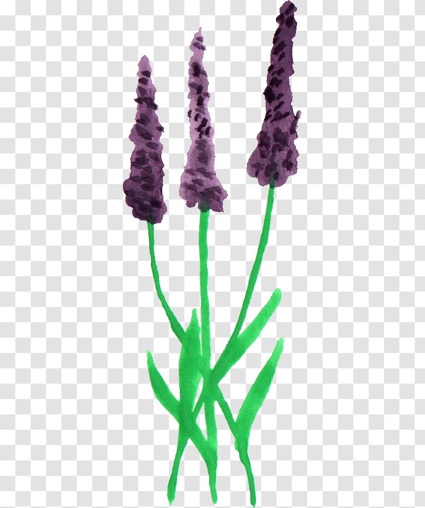 Lavender Sticker Plant Stem - Watercolour Transparent PNG