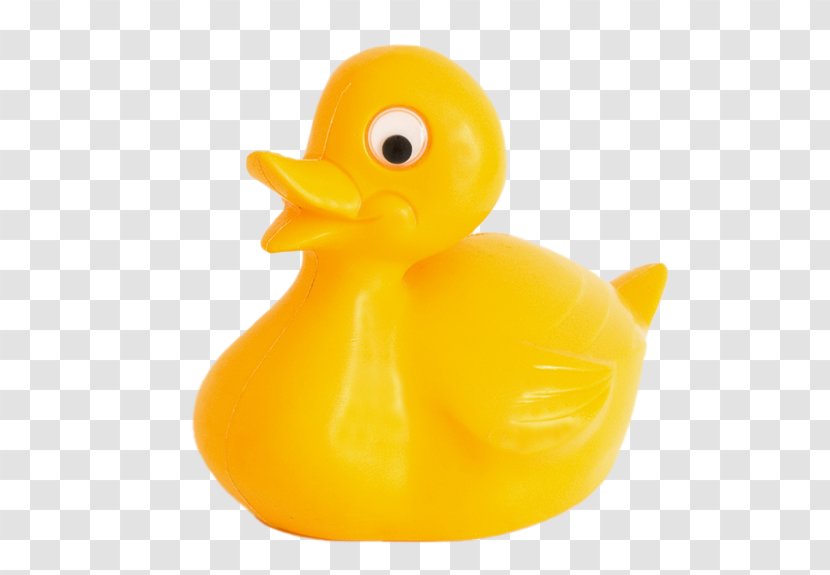 Rubber Duck Plastic Toy Natural - Anatidae - DUCK Transparent PNG