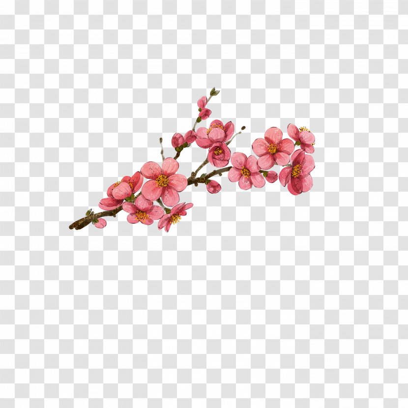 Plum Blossom Watercolor Painting - Petal - Flower Transparent PNG