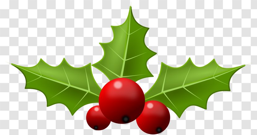 Common Holly Christmas Free Content Clip Art - Blog - Cliparts Transparent PNG