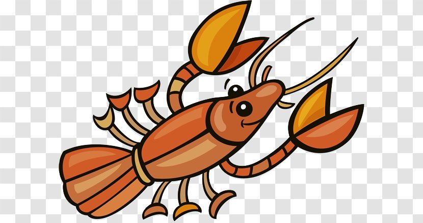 Stock Illustration Royalty-free - Organism - Orange Lobster Tail Transparent PNG