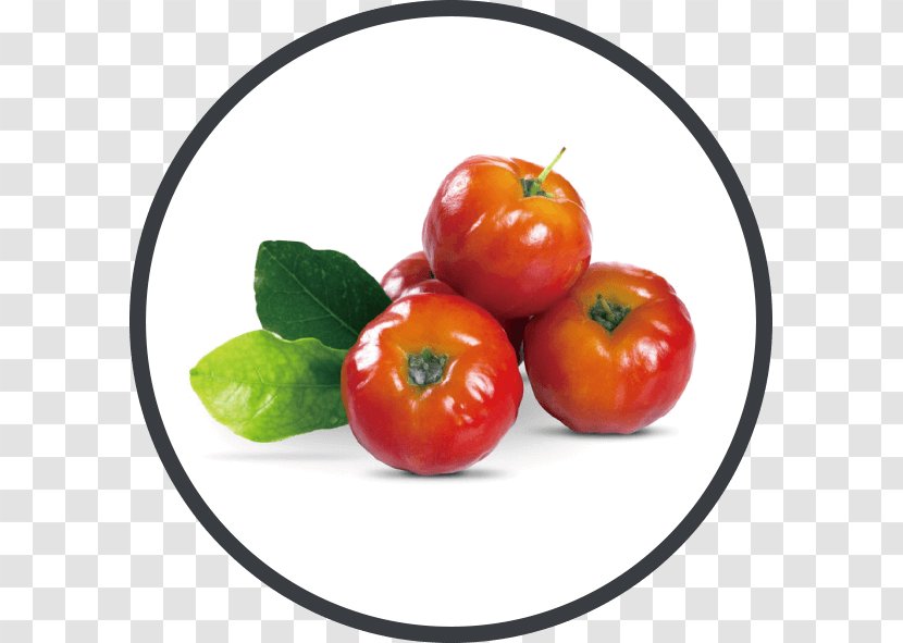 Barbados Cherry Malpighia Glabra Fruit Smoothie - Nutrition Transparent PNG
