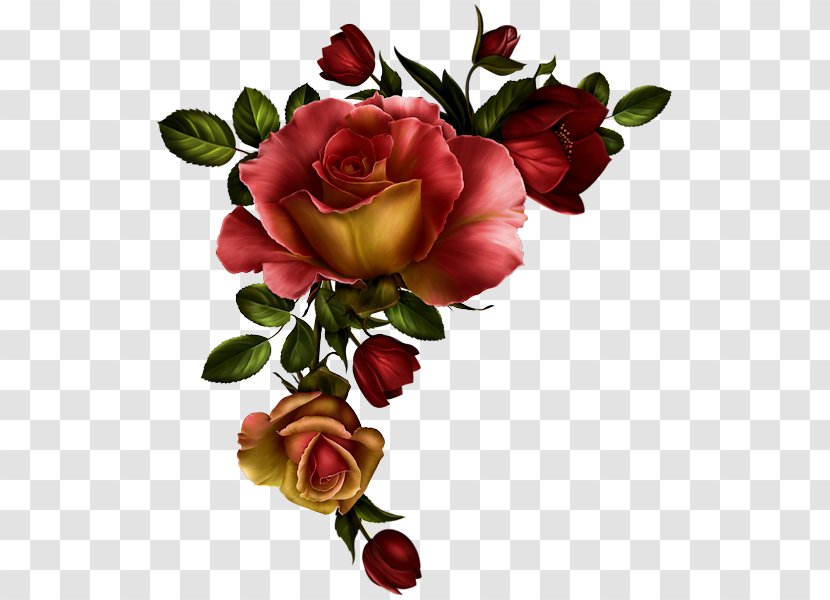 Purple Rose Clip Art - Garden Roses Transparent PNG