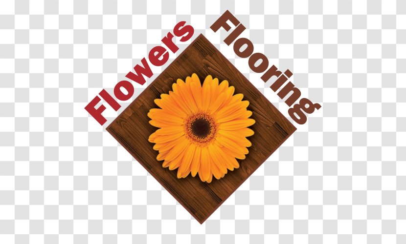 Auburn Flowers Flooring Sales Business - Sunflower - Carpet Transparent PNG