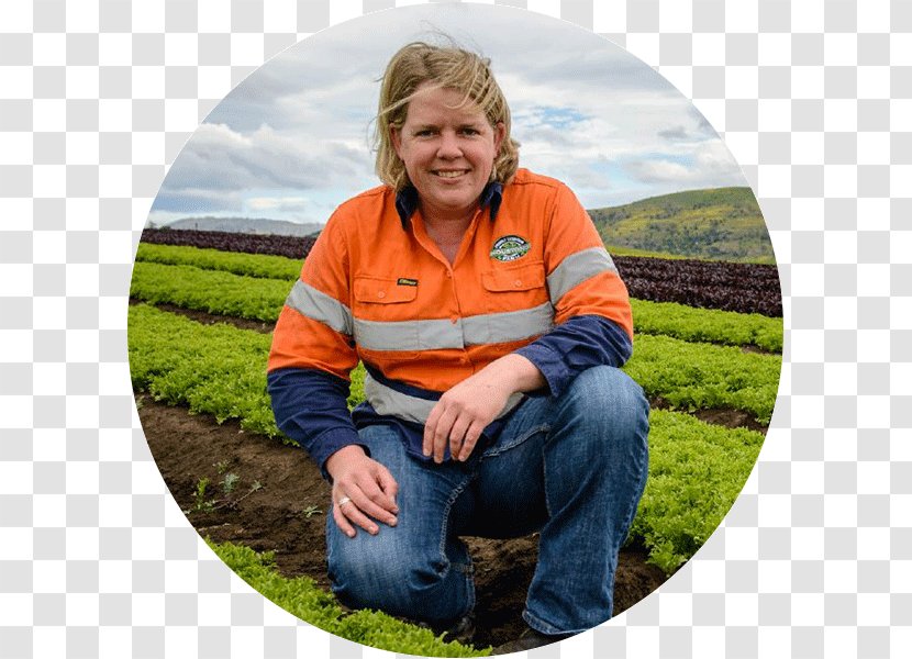 Vegetable Horticulture Innovation Australia Crop Industry - Knowledge Edition Transparent PNG