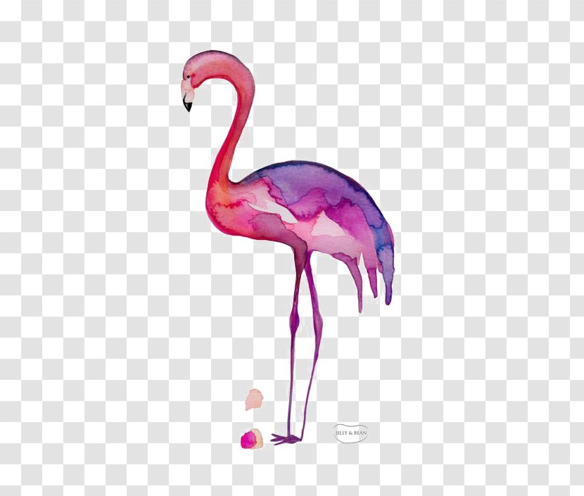 Greater Flamingo Drawing - Crane Like Bird - Color Transparent PNG