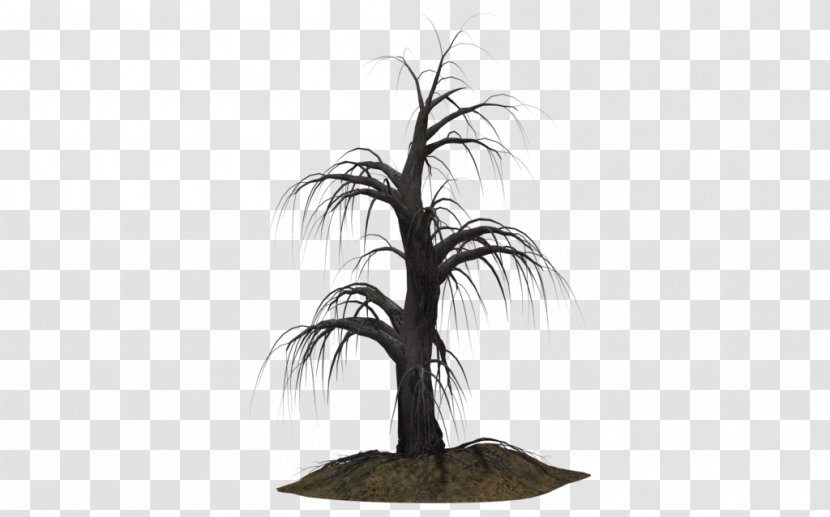 Tree Shrub Plant Arecaceae - 3d Computer Graphics - Creepy Transparent PNG