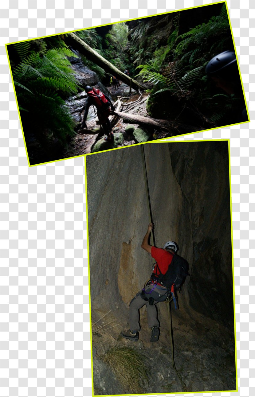 Rock-climbing Equipment Sporting Goods Adventure Film - Salto Transparent PNG