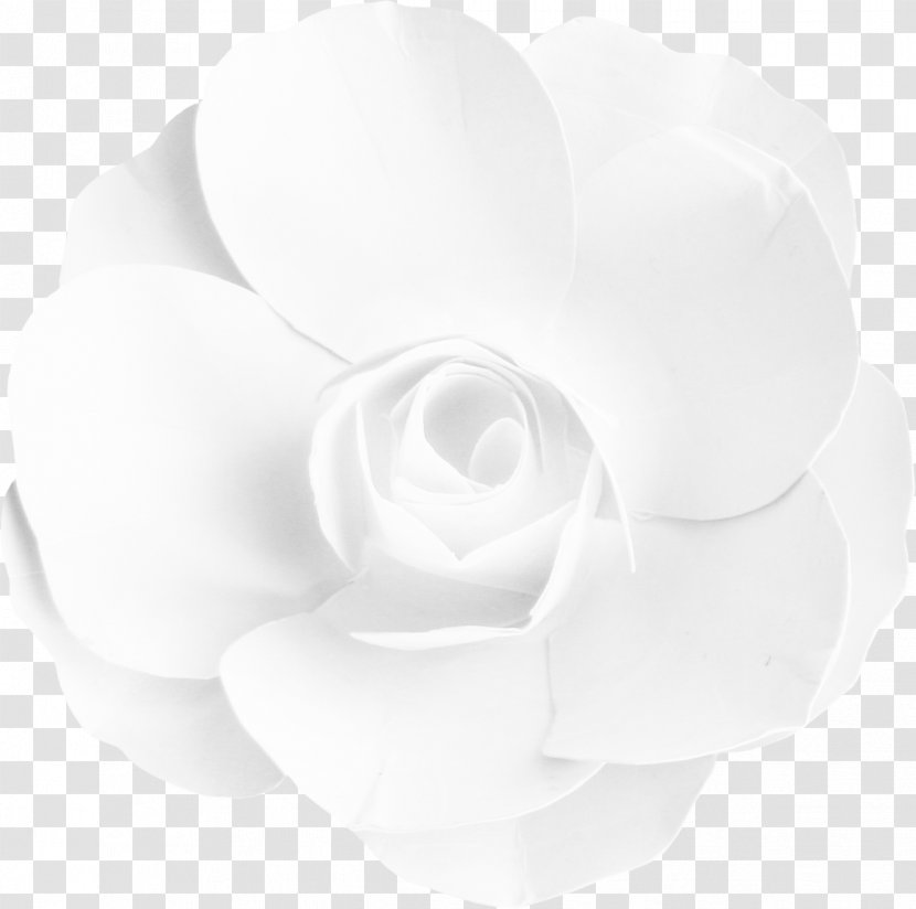 Garden Roses Cut Flowers Rosaceae - Flower - Vintage Rose Transparent PNG