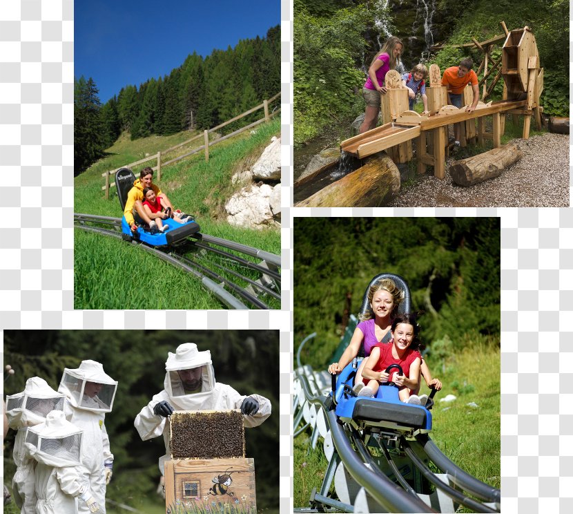 Latemar MontagnAnimata Moena Fassa Valley Fiemme - Adventure - Mountain Transparent PNG