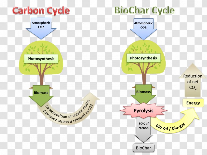 Biochar Soil Conditioner Organization - Area - Diagram Transparent PNG