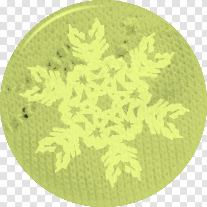 Snowflake Green Icon - Grass - Snowflakes Transparent PNG