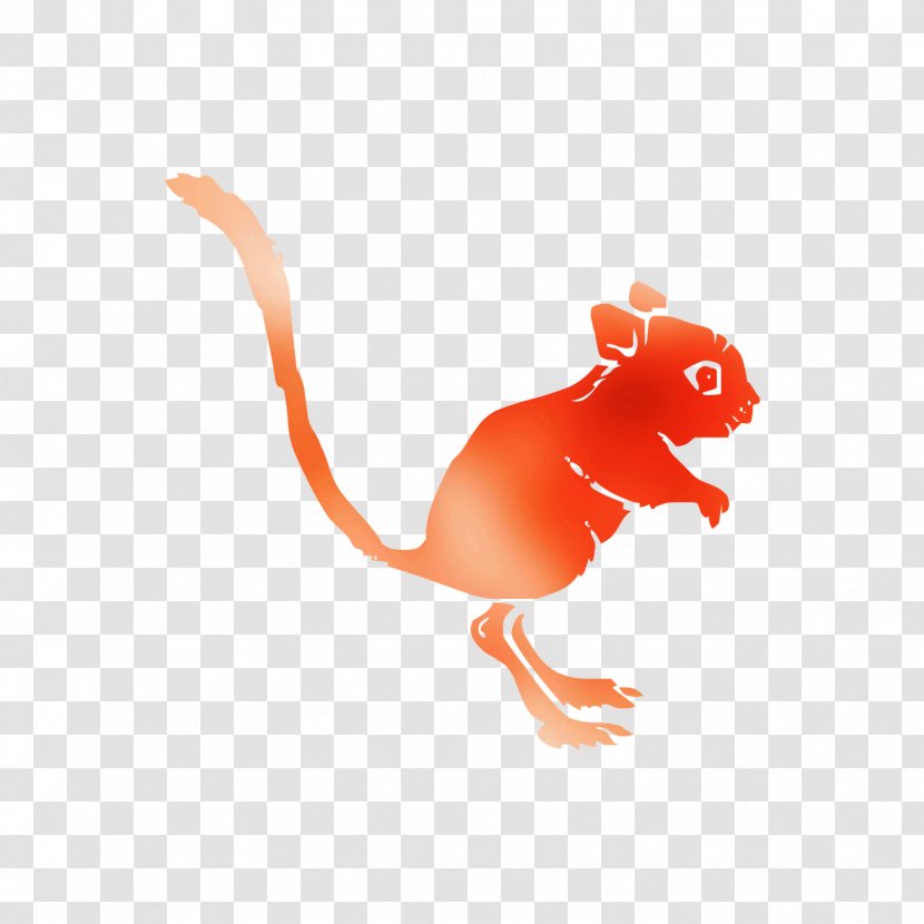 Rodent Carnivores - Muridae Transparent PNG