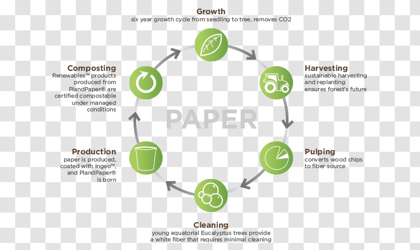 Paper Life-cycle Assessment Polylactic Acid Product Management - Term - Life Cycle Of Transparent PNG