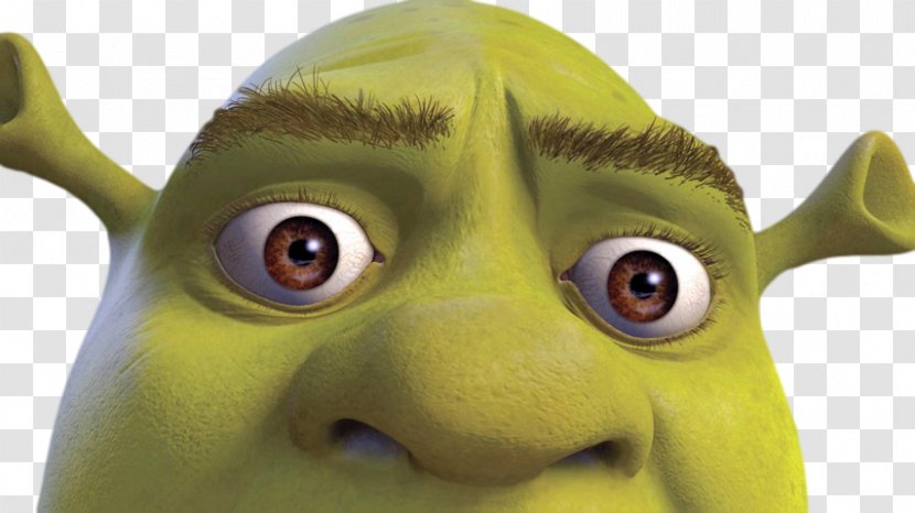 Shrek Shot Video Film Image Transparent PNG