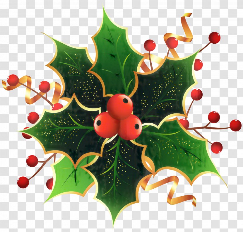 Christmas Decoration Cartoon - Holly - Plane Ornament Transparent PNG