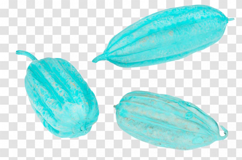 Turquoise Organism - Luffa Transparent PNG