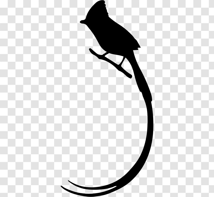 Long Tail Bird Silhouette Clip Art - Drawing Transparent PNG